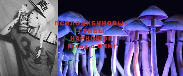 ГАЛЛЮЦИНОГЕННЫЕ ГРИБЫ Дедовск