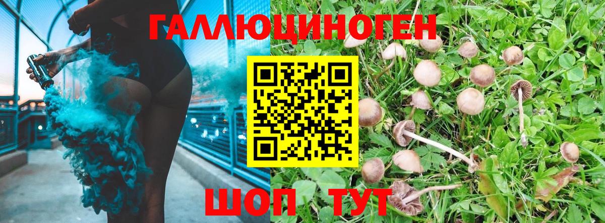 Галлюциногенные грибы MAGIC MUSHROOMS  Вход с VPN  Псилоцибиновые грибы MAGIC MUSHROOMS  Минеральные Воды 