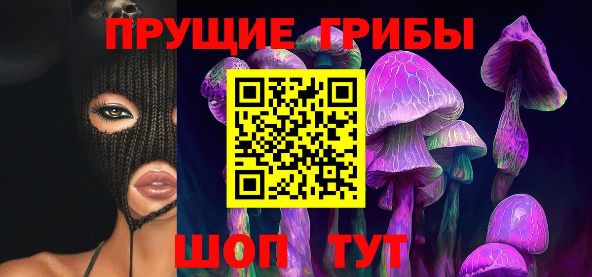 Галлюциногенные грибы Cubensis Минеральные Воды